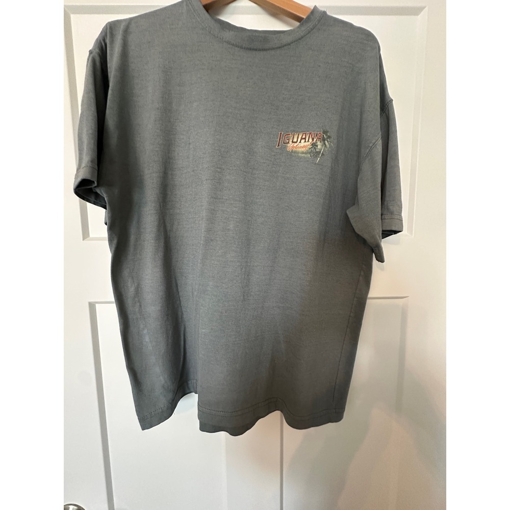 Newport Blue Mens Large Iguana Getaway Born To Chill Graphic T-Shirt Blue Gray